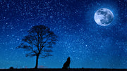 Wolf Moon Pattern Tapestry