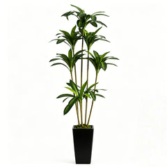 5 foot tall artificial dracaena plant with white planter for indoor decor