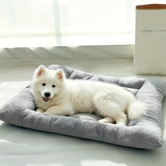 Extra Large Dog Bed, Ultra-Soft Plush Mattress, Non-Slip Base, All-Season Cushioned Bed for All Dog Sizes