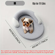 Removable and washable pet bed for cats and dogs