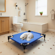 Off-ground mesh pet bed with iron frame for all seasons