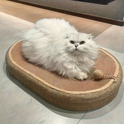 Large warm dog bed with thickened plush padding for indoor and outdoor use
