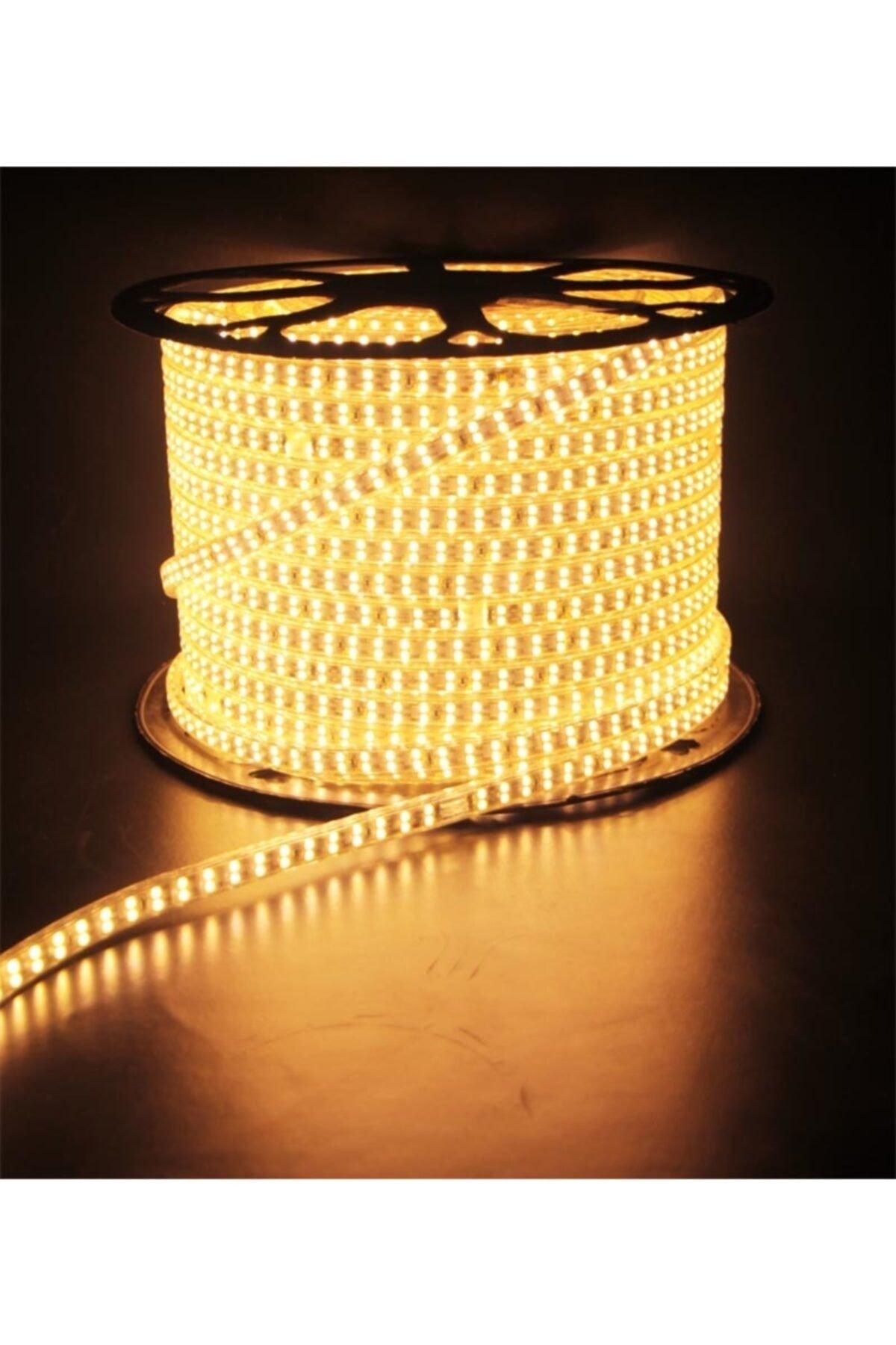 10 Meters Daylight Color Led Hose (Including Plug)