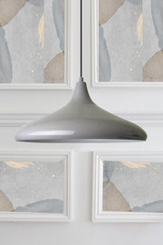 Champion Gray Metal Chandelier Single Pendant Lamp Living Room Kitchen Hall Hairdresser Cafe Boutique Lamp Lighting