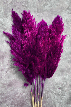Shocked Pink Dried Pampas Grass Bundle of 10 Stems