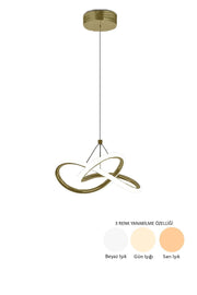 Modern Bolivia Single Antique 3 Color Illuminated Power Led Chandelier For Living Room Kitchen Room Hallway Led Chandelier