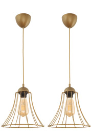 2 Magnificent Single Antique Chandeliers