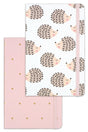 Set of 2 Notebooks Elastic Lined 13x21 cm