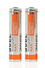 2 Pieces 3000 Mah Aa 2 Pieces 1200 Mah Aaa Thin