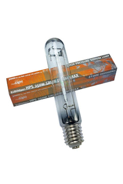 250W high pressure sodium grow light for plants