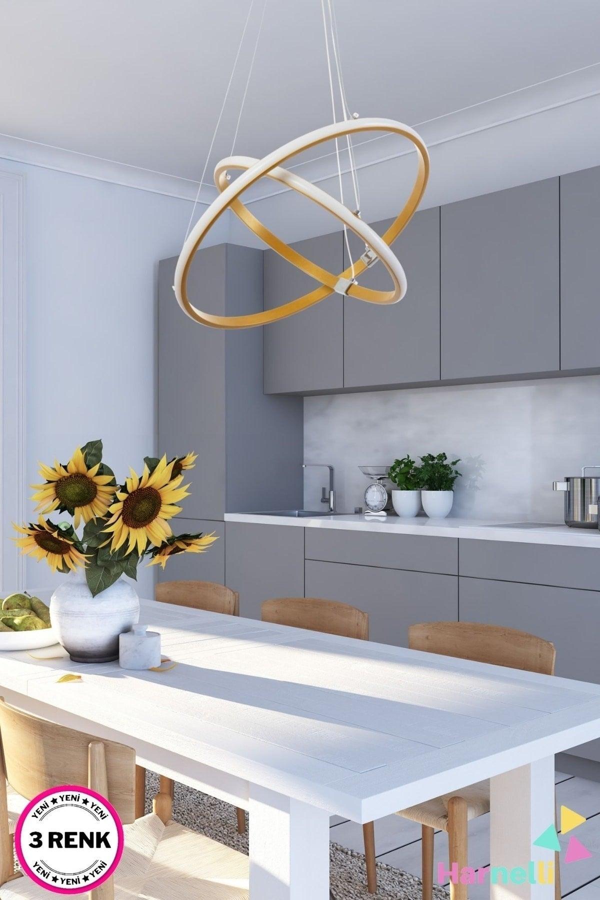 3 Colors Combustible Modern Led Chandelier - Swordslife