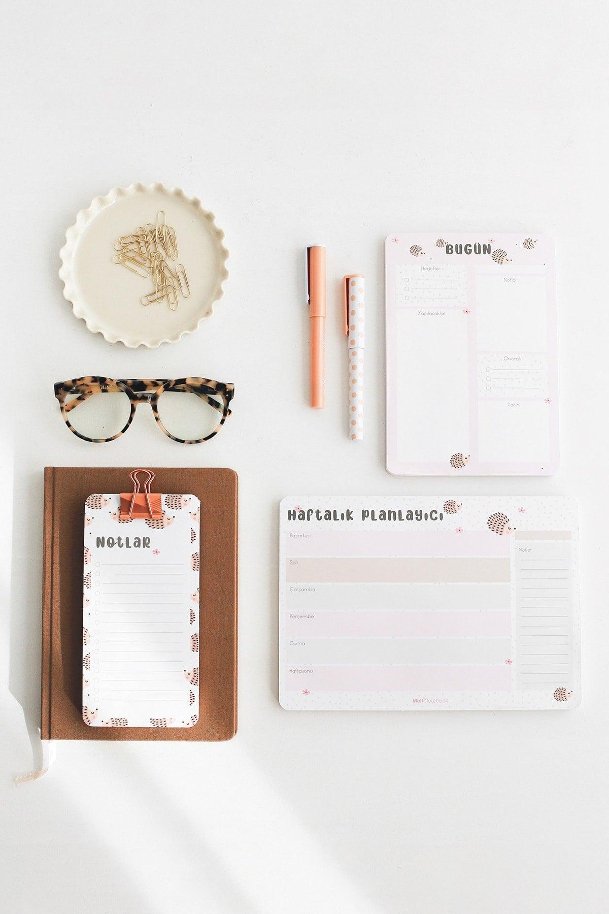 3 Pcs Desktop Planner Set Hedgehog