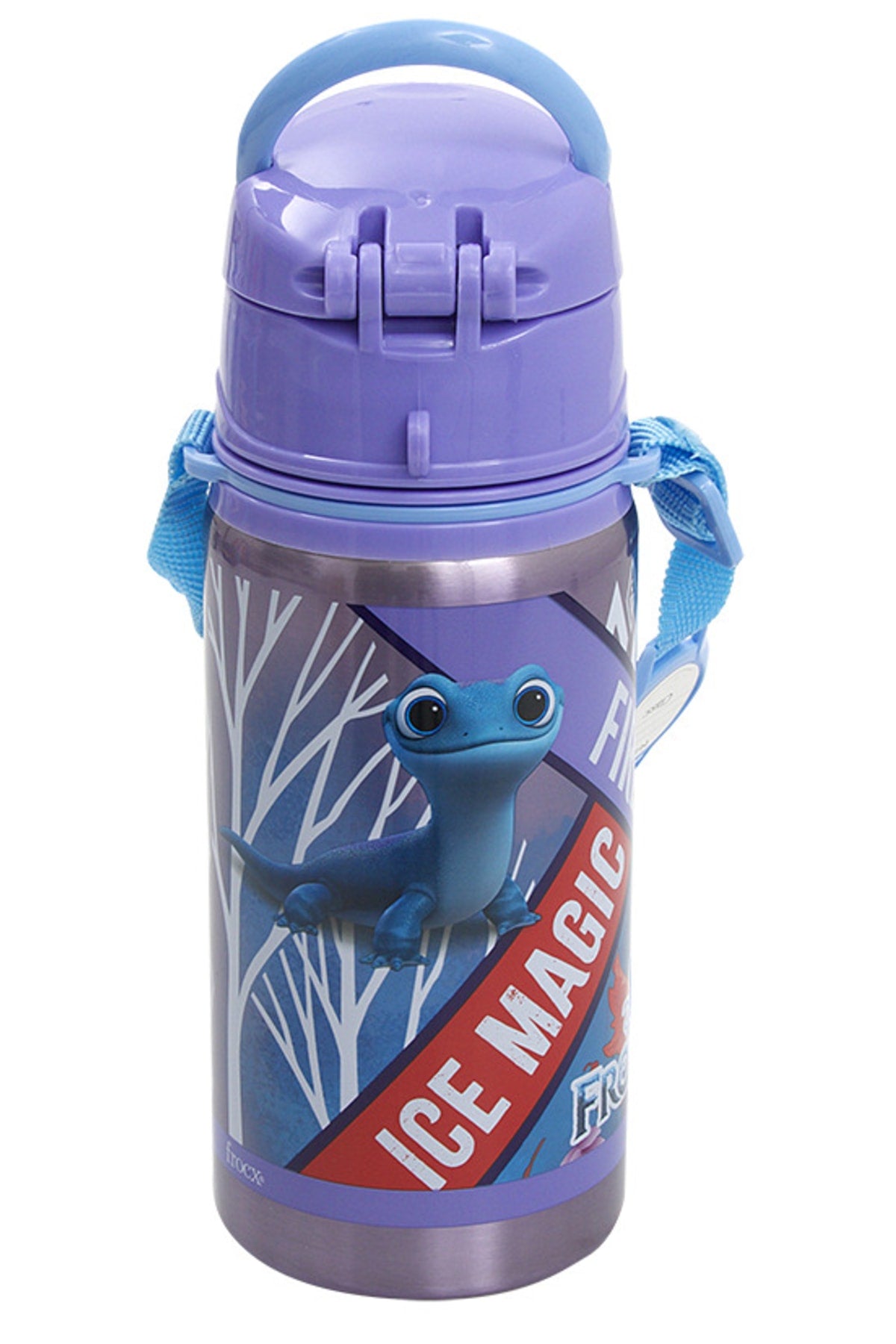 Frozen Steel Flask Salto 500Ml Ice Magic