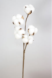 5 Piece Cotton Branch 43 Cm