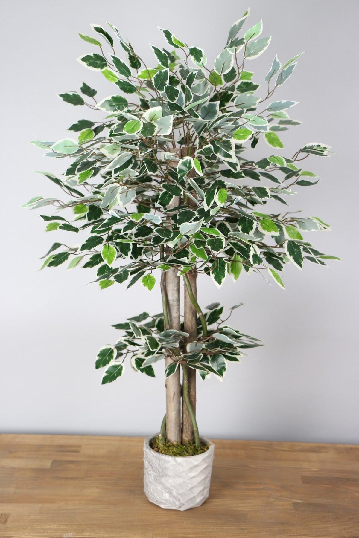 Artificial Starlight Benjamin Tree 105 Cm Concrete Pot Green-white - Swordslife