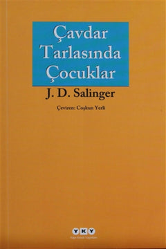 Literary novel about adolescence and identity