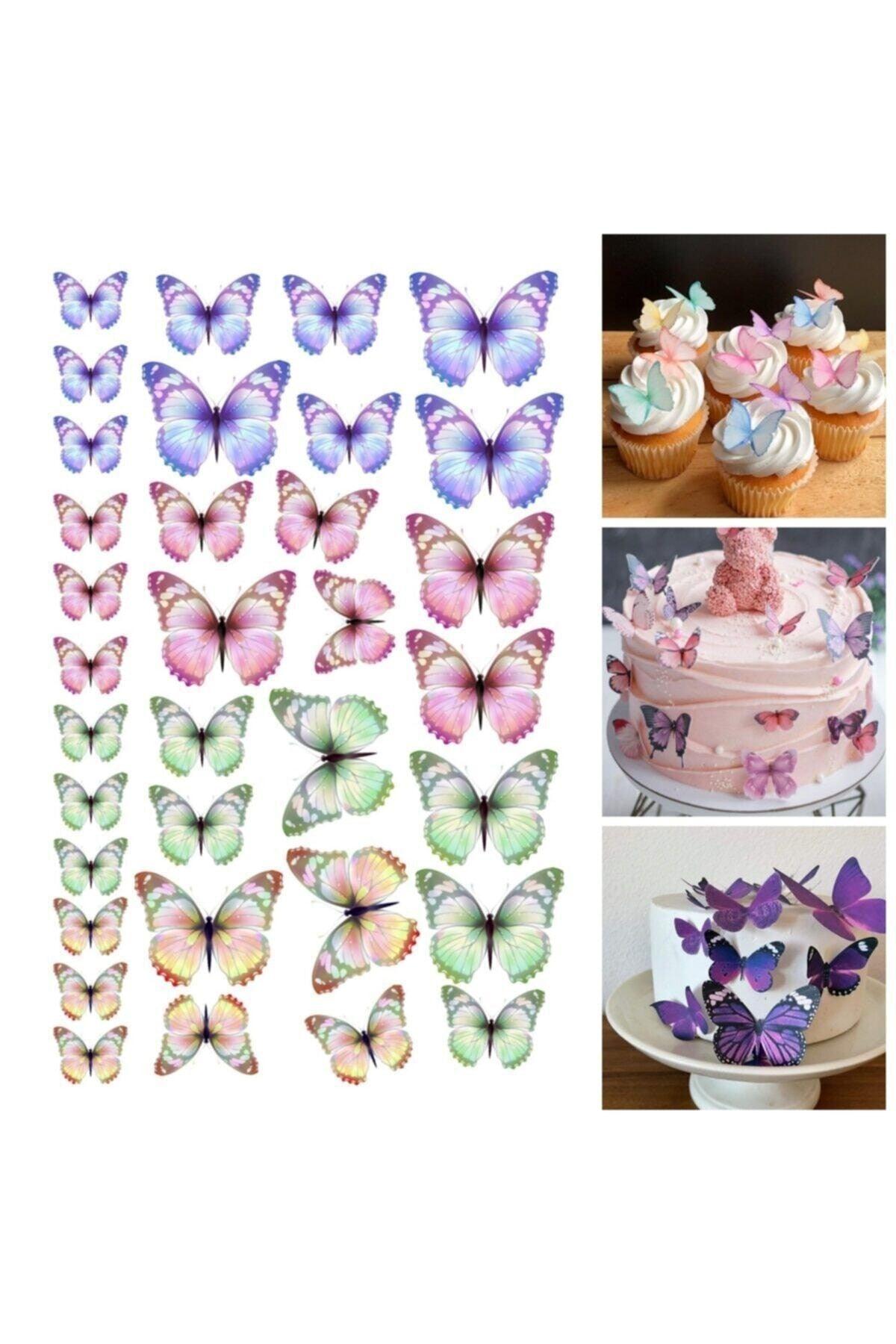 Colorful Butterfly Picture Edible Cake