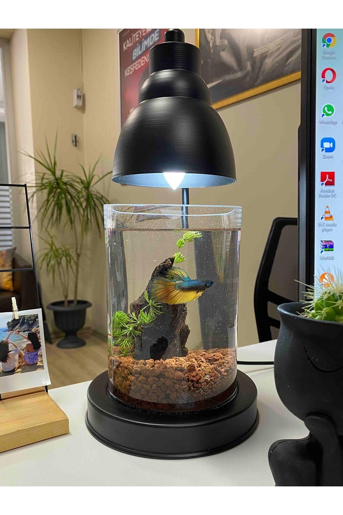 Gift Decor Led Lampshade - Black - Swordslife