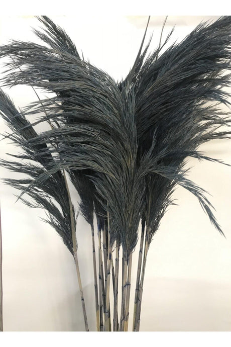 Dried Shocked Pampas 10 Pcs Anthracite Izcahome - Swordslife