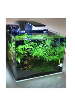 Compact LED Aquarium Light for Nano Tanks