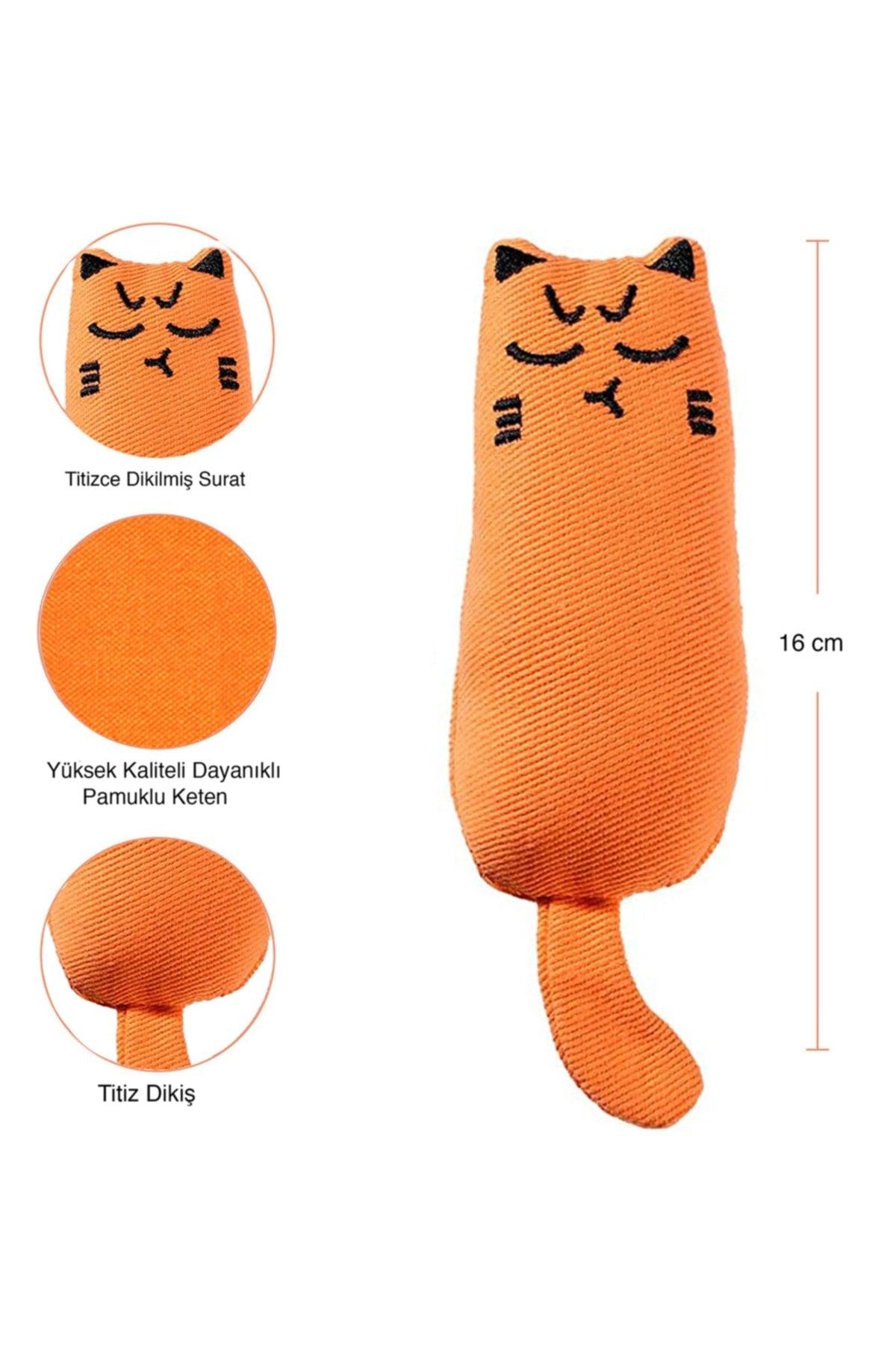 Orange Color Rattle Cat Grassy Cat