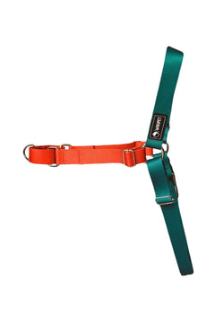 Easy walk front-clip dog harness