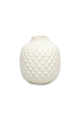 Greenhouse Vase Cream - Swordslife