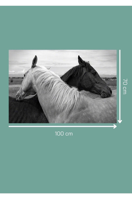 Black White Horses 70x100cm Canvas Painting Wall Decor For Living Room Living Bedroom Office Cafe Entrance - Swordslife