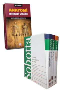 Sobotta anatomy glossary and study companion