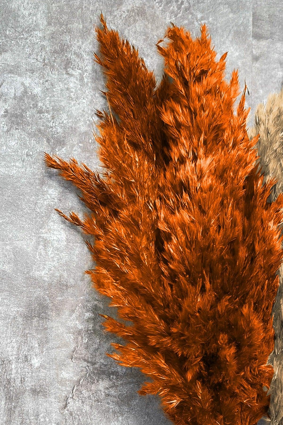 Shocked Orange Natural Color Pampas Bundle of 10 - Swordslife