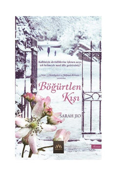 Historical fiction novel Blackberry Winter by Vera Ray