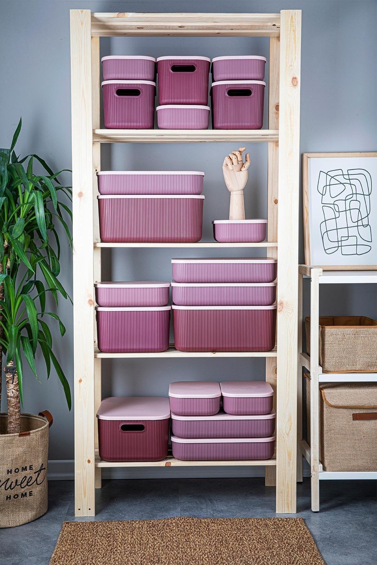 Trove 3 Pieces 6.2 Lt (Plum) Organizer