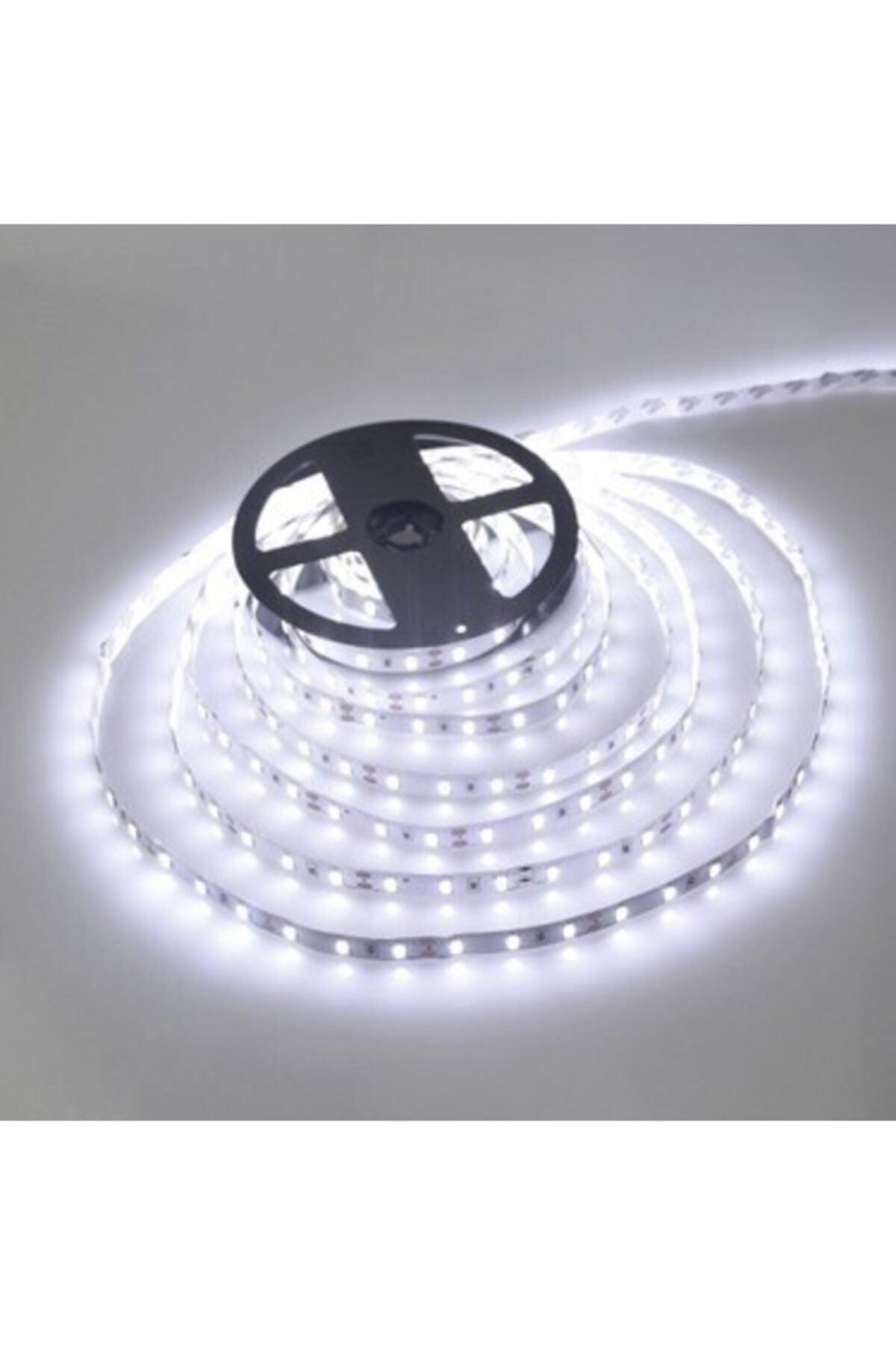 White Light 5 Meter 12 Volt 3 Chip Indoor