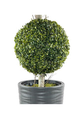 Artificial Tree Anthracite Long Beach Vase Boxwood Top 2 Bulk 130cm - Swordslife