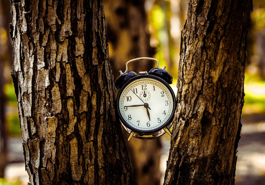 Unlocking Time: The Fascinating Evolution of Timekeeping