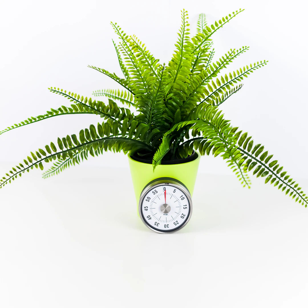 Eco-Friendly Wall Clocks Sustainable Choices for You