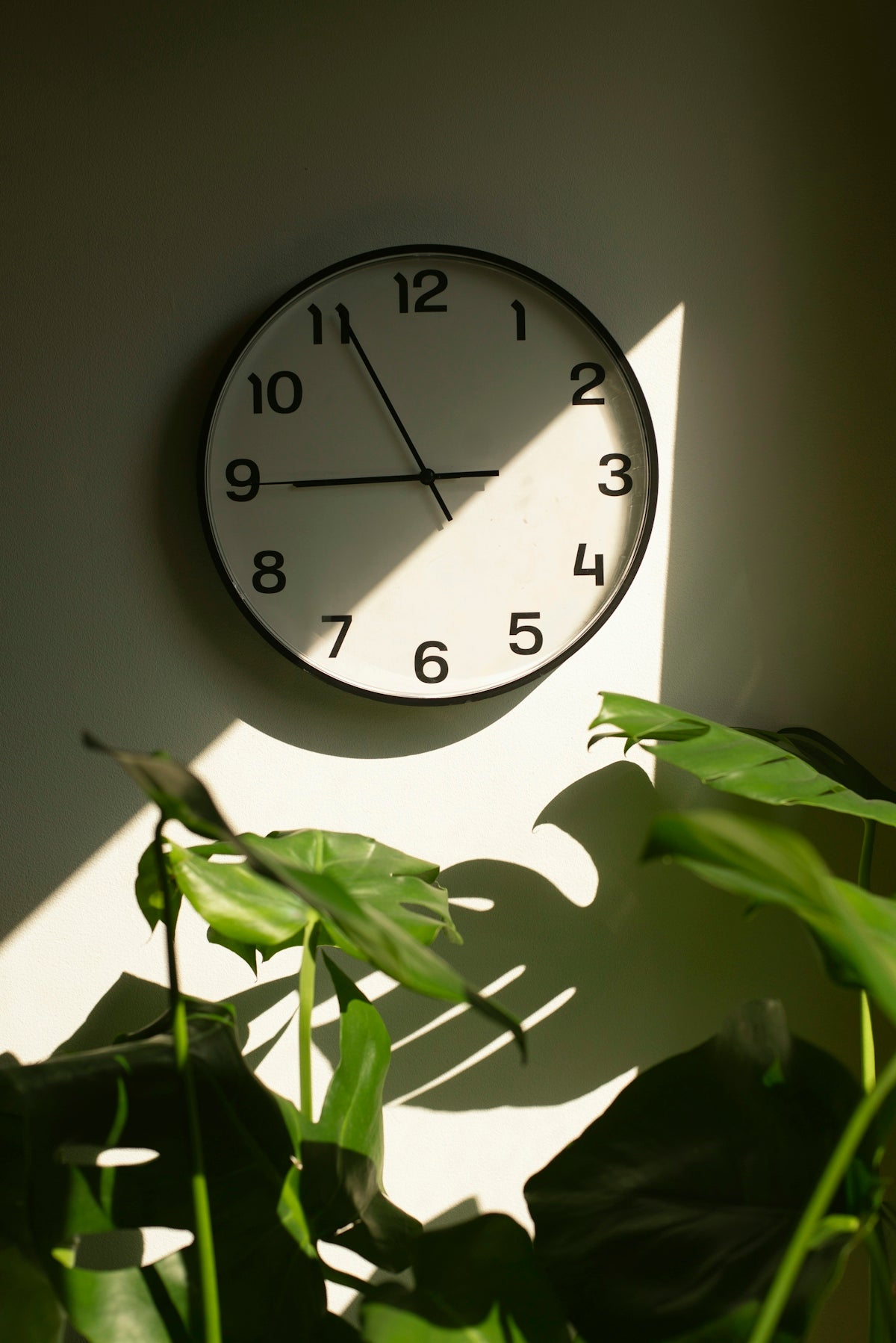 a clock on a wall next to a potted plant