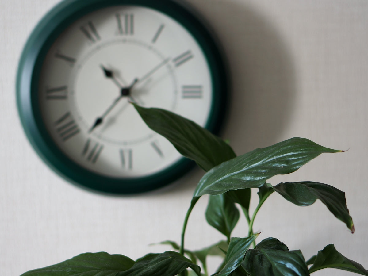 A clock on the wall above a potted plant