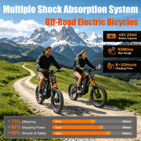 Electric Bikes