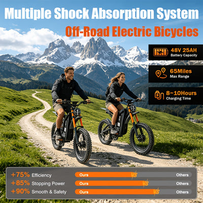 Electric Bikes