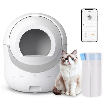 Pet Cleaning