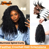 Wigs & Hair Extensions
