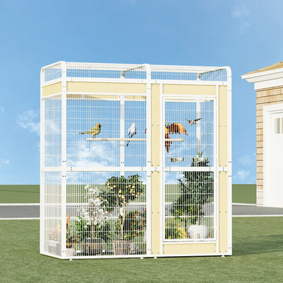 Birds