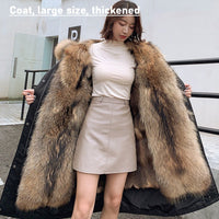 Curve Coats & Jackets