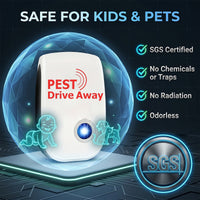 Indoor Insect & Pest Control