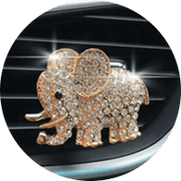 Interior Accessories