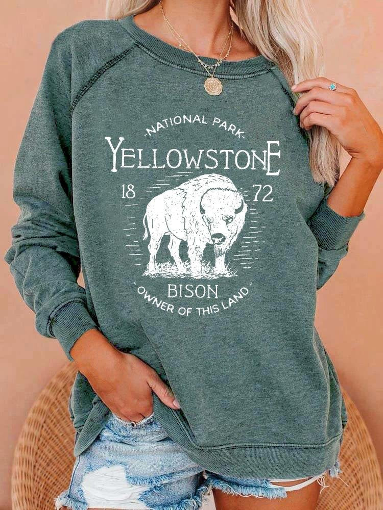 Bold 3D Print Streetwear Women's Pullover Hoodie