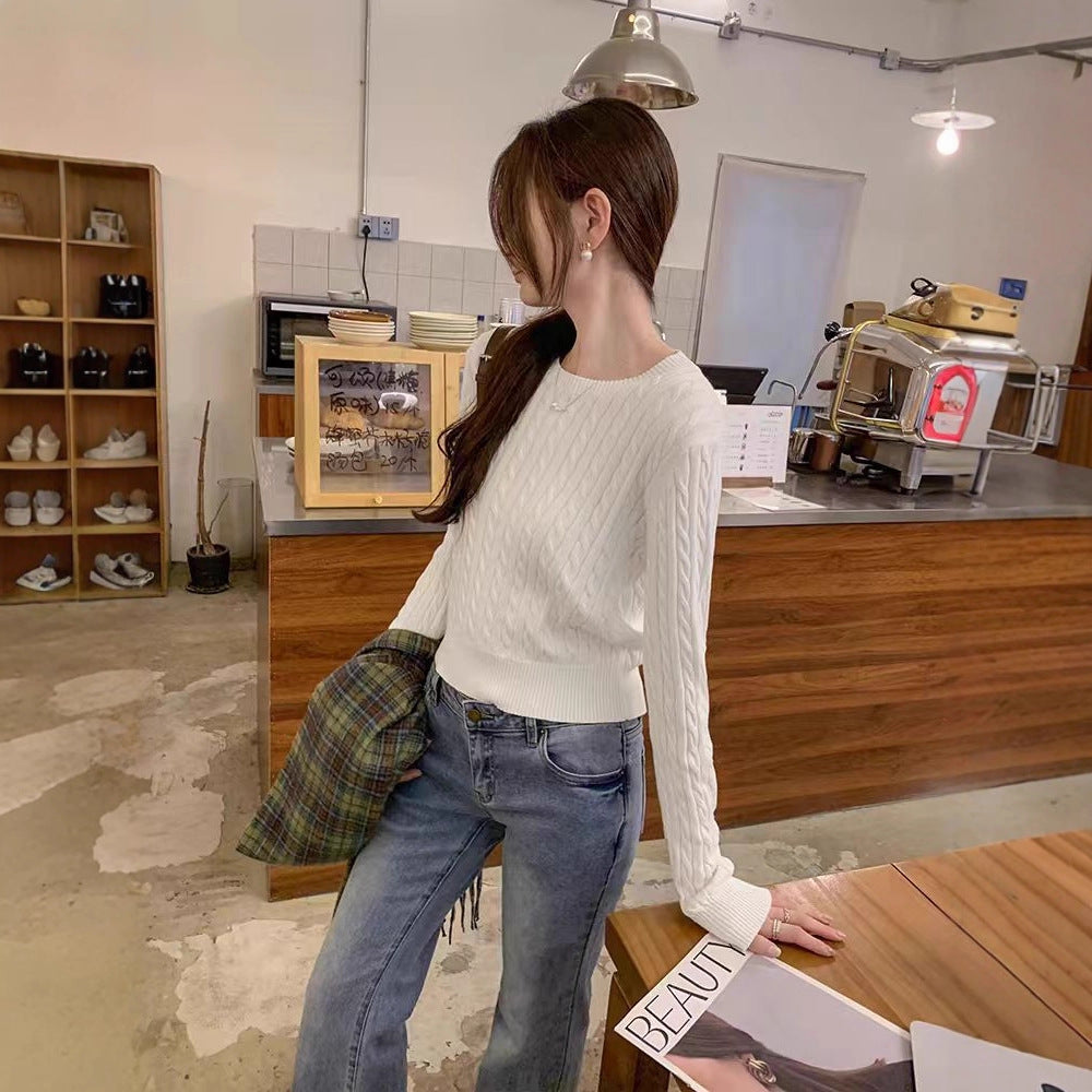Ladies' Loose Twisted Round Neck Solid Color Sweater