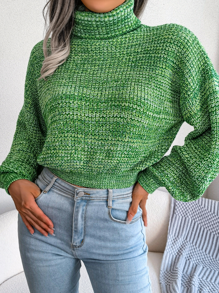 Women Mixed Color Lantern Sleeve Turtleneck Knit Sweater