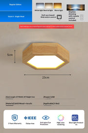 Elegant Nordic Ceiling Light for Entryways